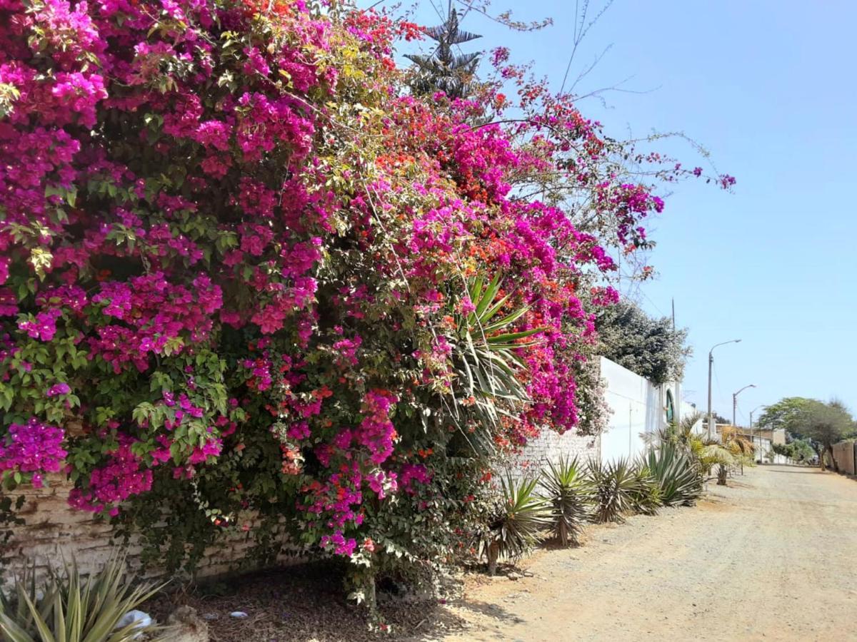 Villa Hospedaje Chanchan Cultural Lodge Trujillo Buitenkant foto