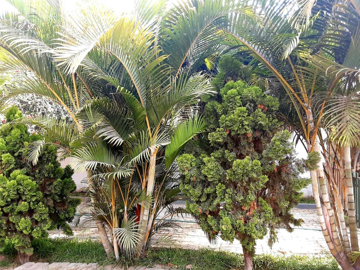Villa Hospedaje Chanchan Cultural Lodge Trujillo Buitenkant foto